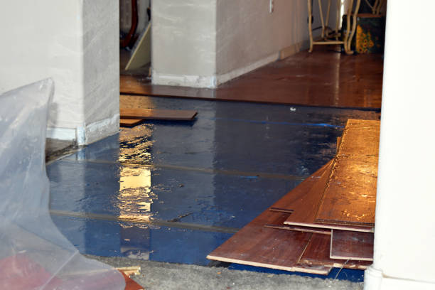 Professional Flood Cleanup technician working in Lynchburg, MS